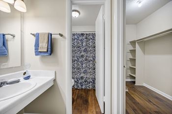 A bathroom with a white sink and a blue and white shower curtain.